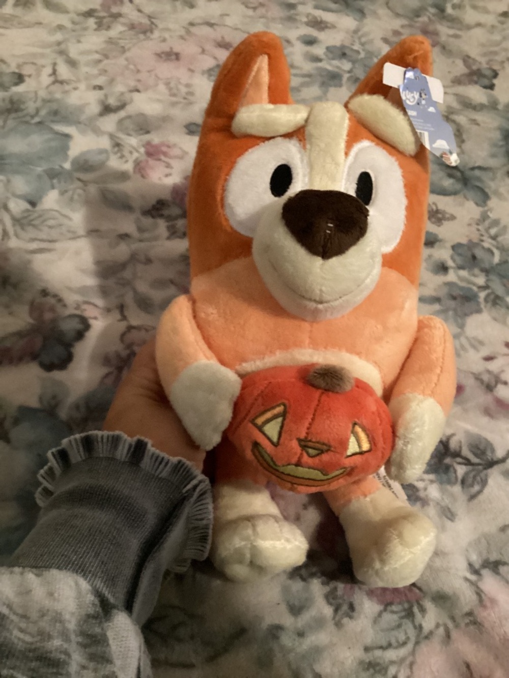 New Bingo Halloween Plush/ holding Jack o lantern